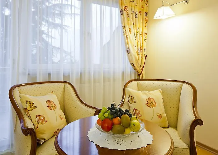 Hotel Aster
