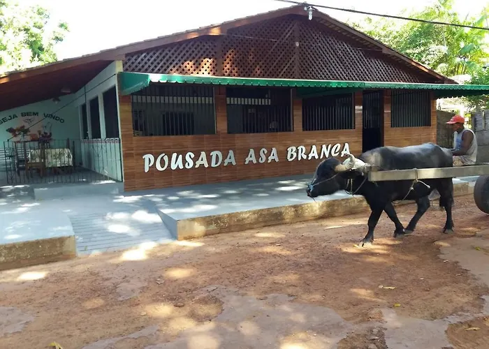Pousada Asa Branca Soure