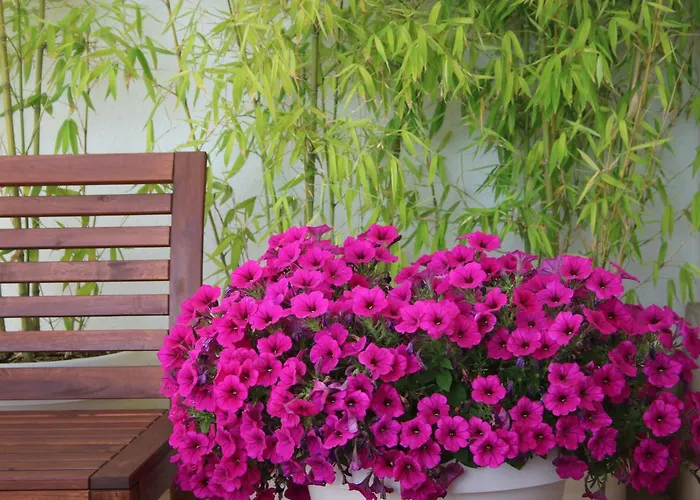 Hotel Mare Nostrum