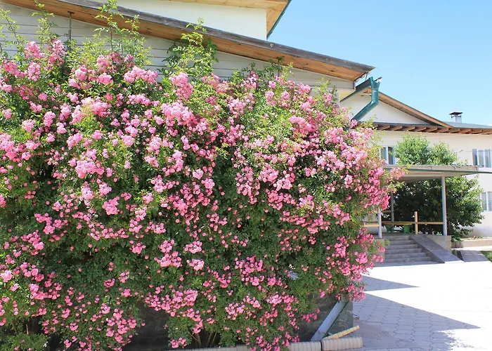Green Yard Hotel