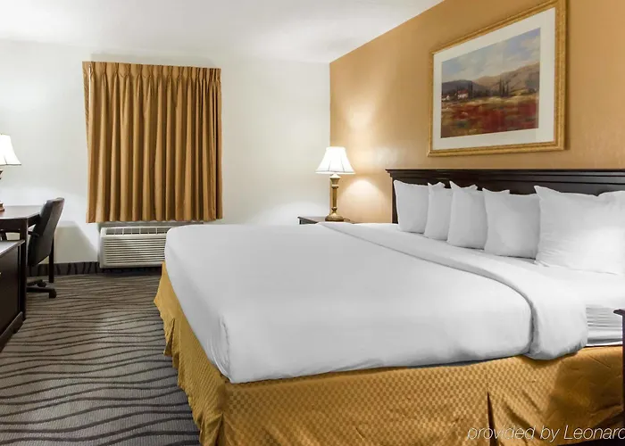 Executive Inn And Suites