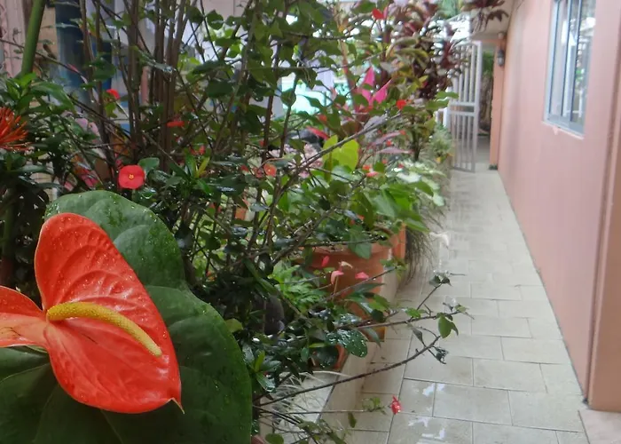 Hotel Rosa De Sharon
