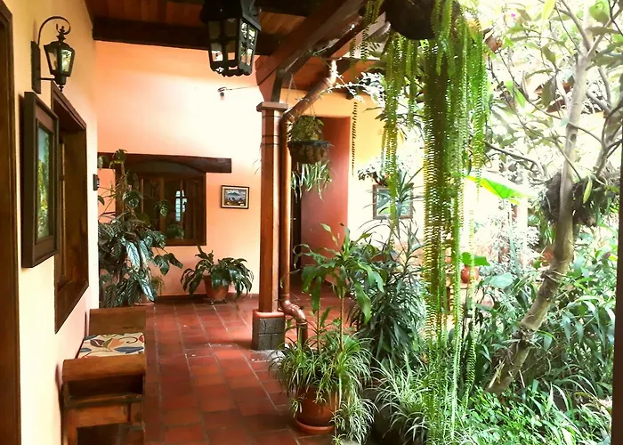 Posada Papa Chepe