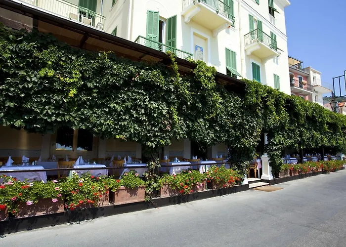 Hotel Eden Alaxi Hotels