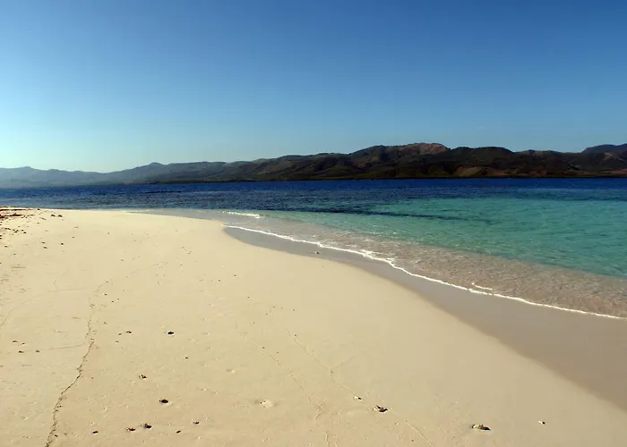 Corales Punta Rusia