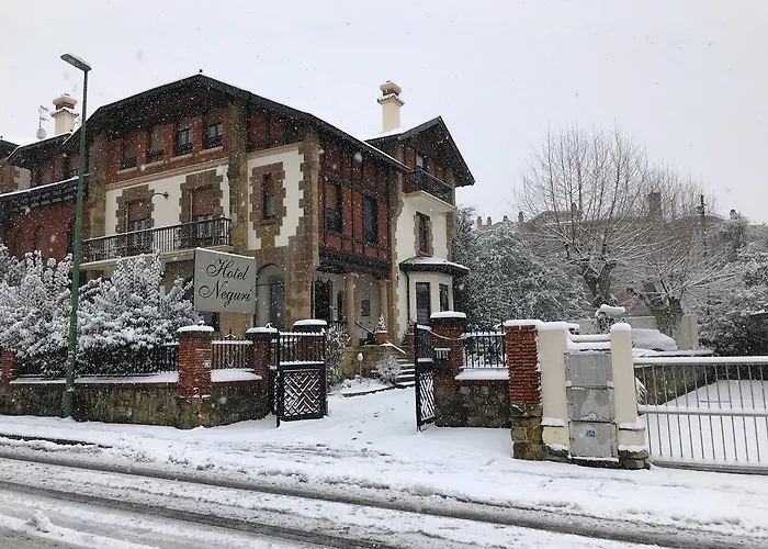 Hotel Neguri