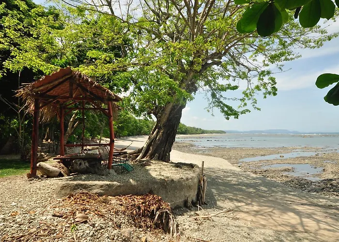 Howler Monkey Hotel