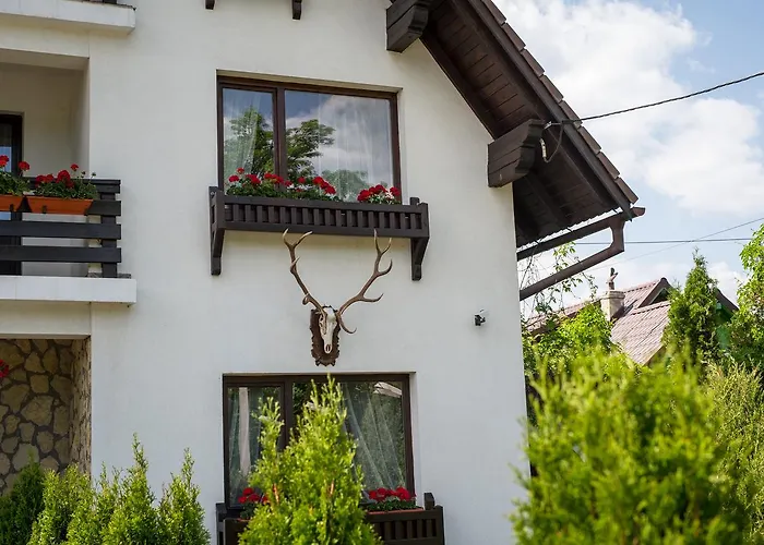 Bran Chalet
