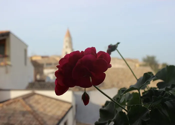 Hotel Orazio