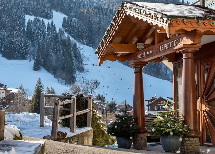 Hotel le Petit Dru