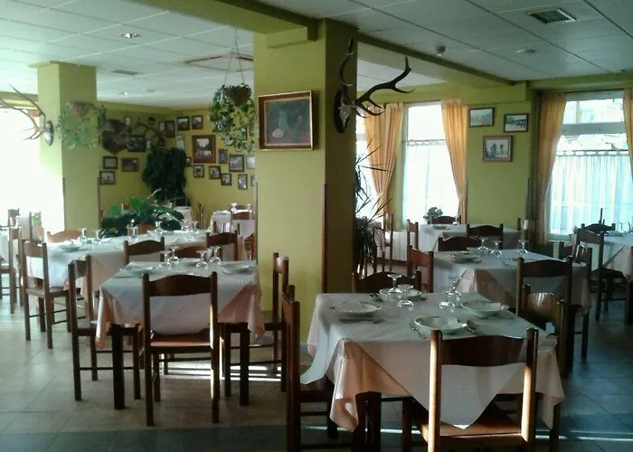 Hotel Narcea