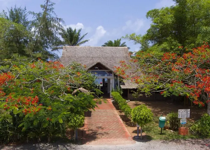 African Queen Lodge