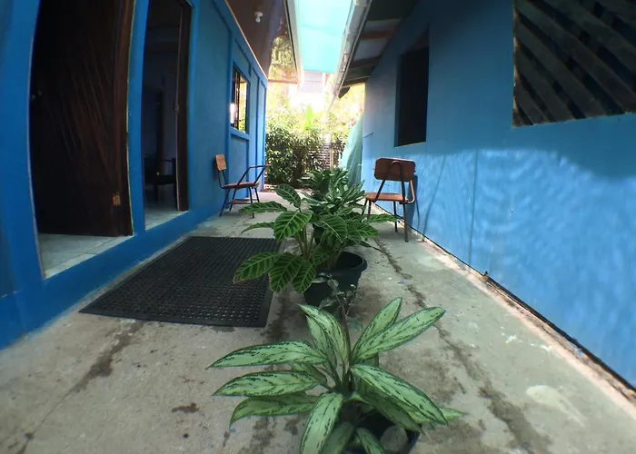 Green Macaw Hostel