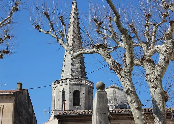 Mas De Valrugues Holifrance