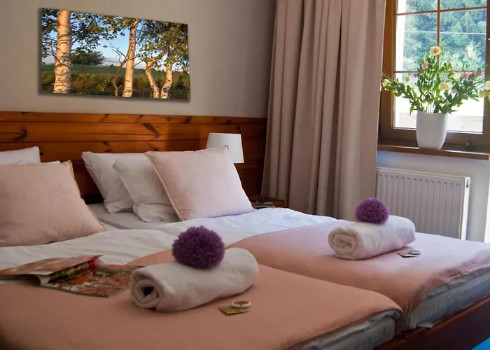 Hotel Gorski Czarna Gora