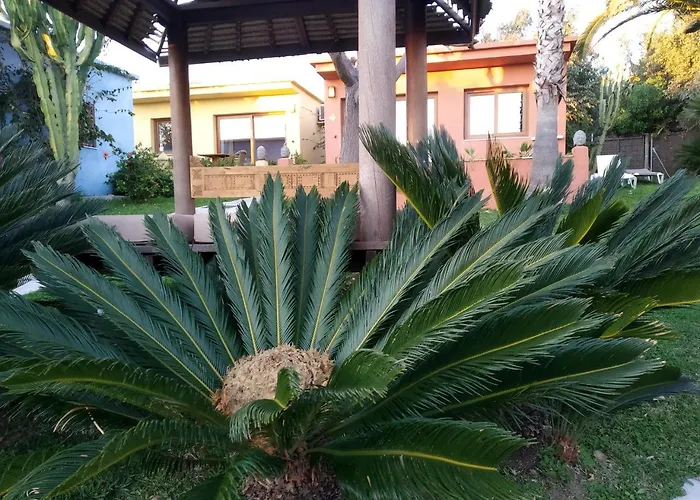 Beach Hotel Dos Mares