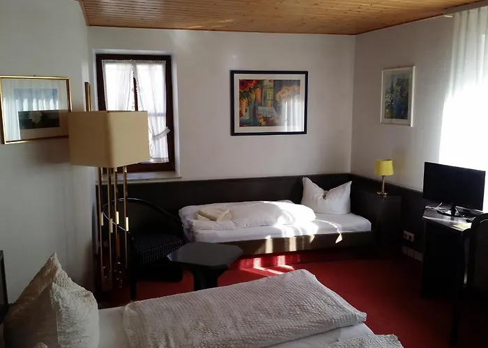 Hotel-Landgasthof Gruener Baum - Dittigheim