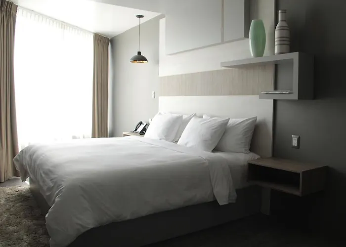 Esduma Hk Hotel Pachuca
