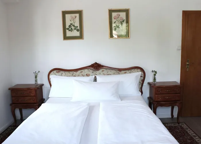 Hotel Viktoria