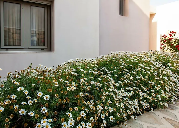 Mythos Suites Diskos