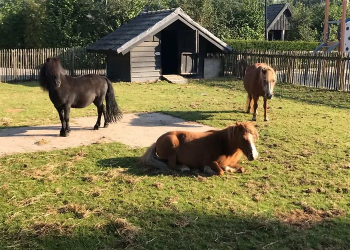 Groepsboerderij 20 Pers.