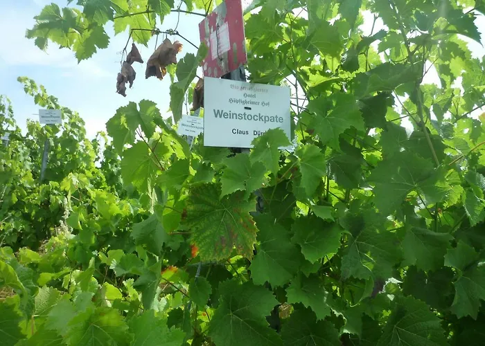 biozertifiziertes Hotel Höpfigheimer Hof mit Wein-Shop