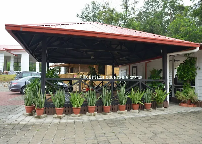 Borneo Tree House