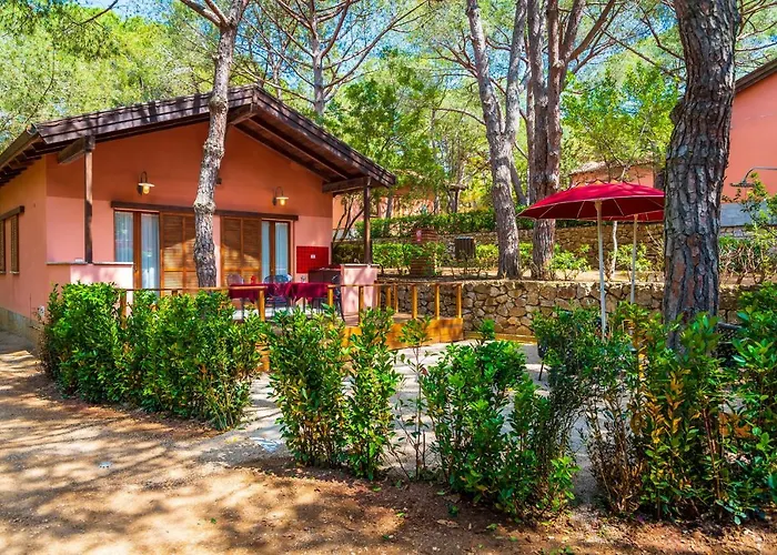 Camping Lacona Pineta