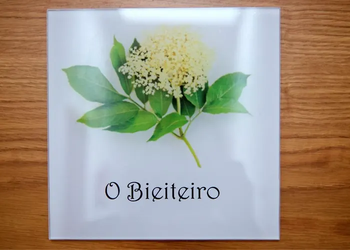 A Carballeira Do Tambre