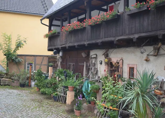Zum Frongut