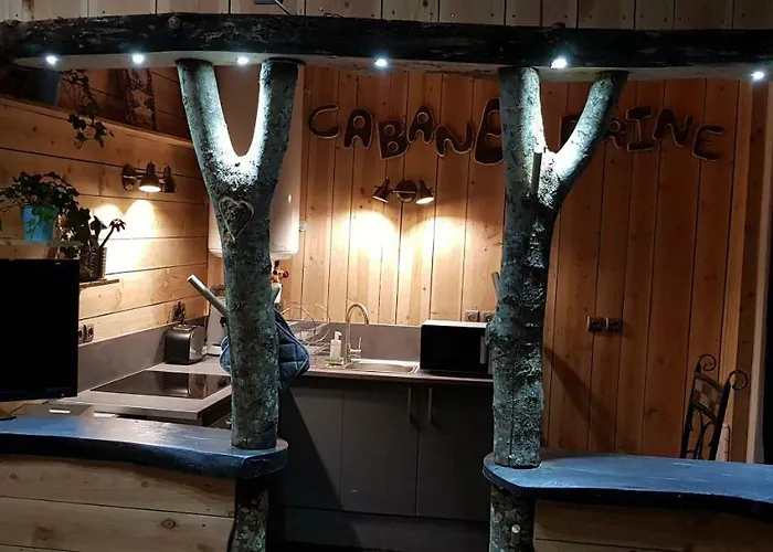 CABANE à DRINE