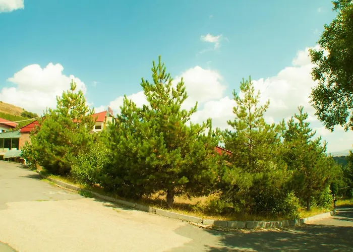 Vosku Ashxarh Hotel