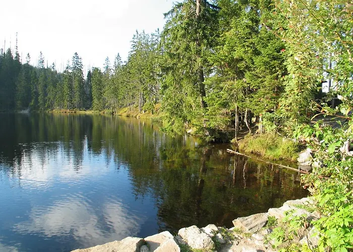Hotel Srni Depandance - Sumava