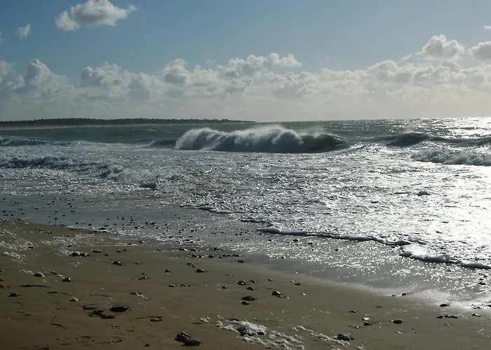 Hôtel de la Petite Plage