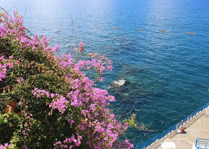 Apartments Madeira Old Town