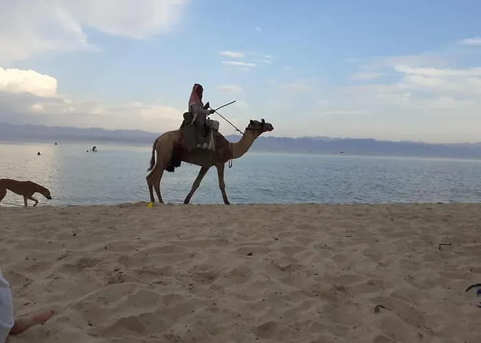 Yasmina Beach