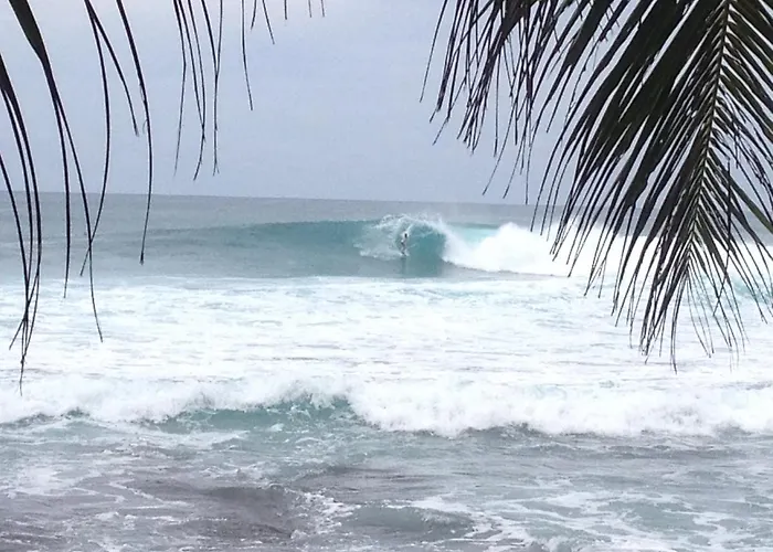 Masokut Surf Camp Siberut E"Bay 1 Minute Walking Beng-Beng 5 Minute Walking,Pitstop 10 Minute Walking Nipussy 1 Hour Walking Short Walking Only Minute Distances From Our Place