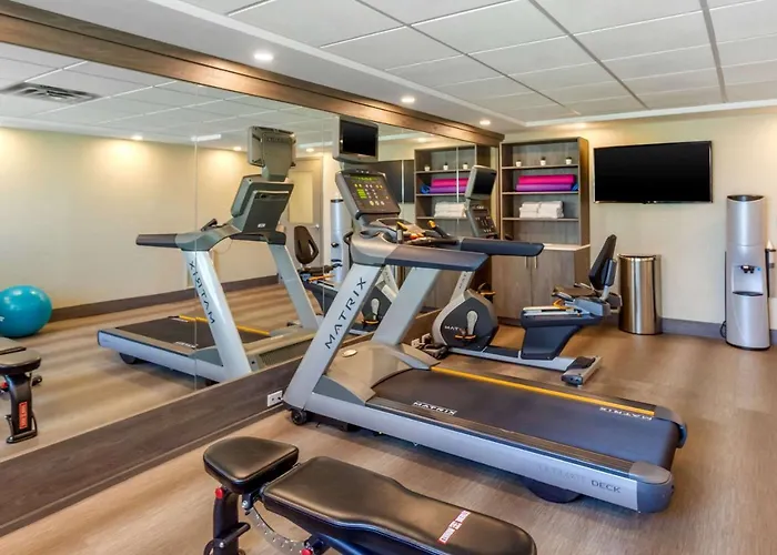 Comfort Suites Downtown Windsor