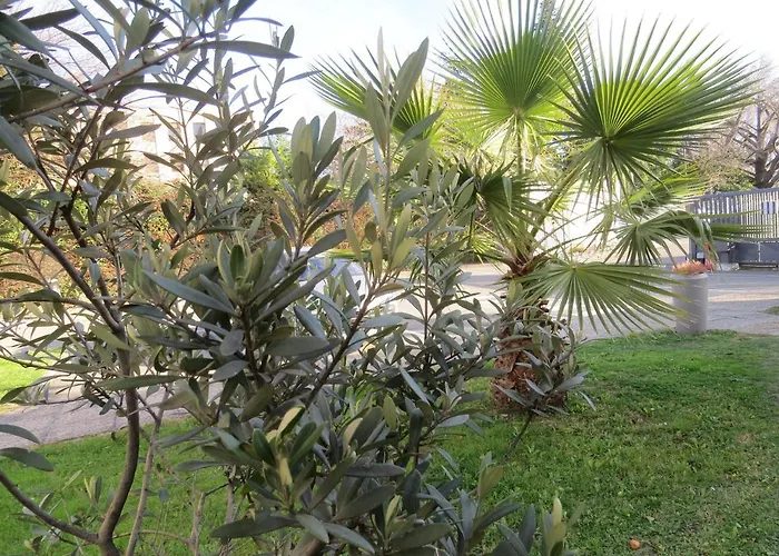 Hotel Kyriad Cap Sud