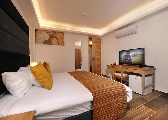 Tzukim Boutique - Desert Traveler'S Hotel In Mitzpe Ramon - מלון בוטיק צוקים