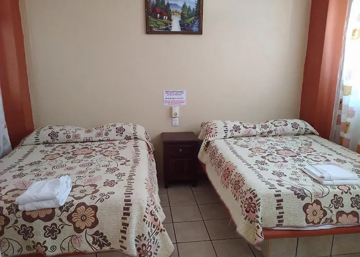 Hotel Y Bungalows Olivares