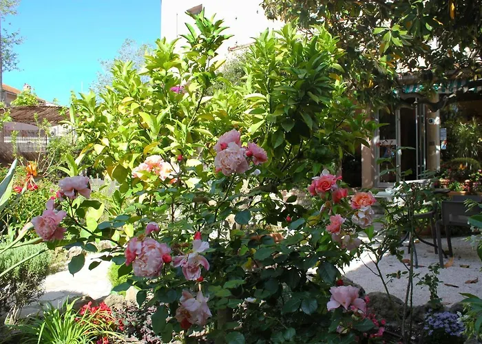 Hôtel Les Palmiers