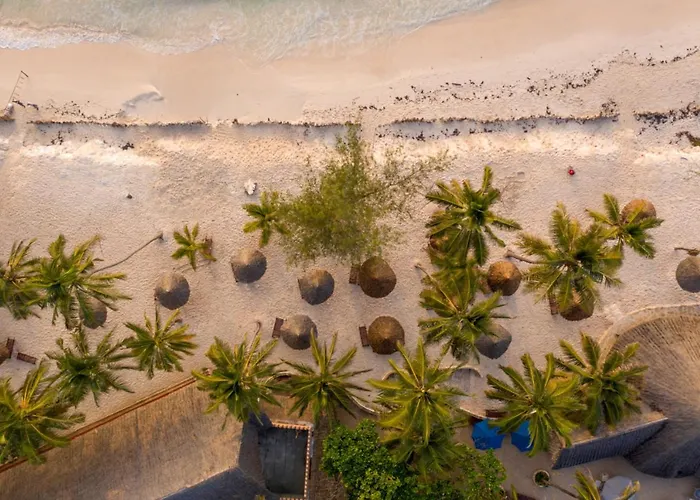 Turtle Bay Beach Club