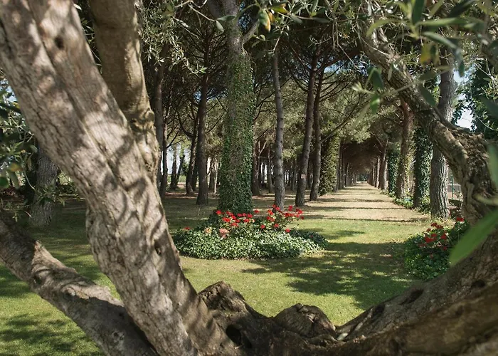 Hotel El Moli