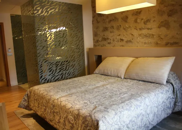 Hotel Palau Dels Osset